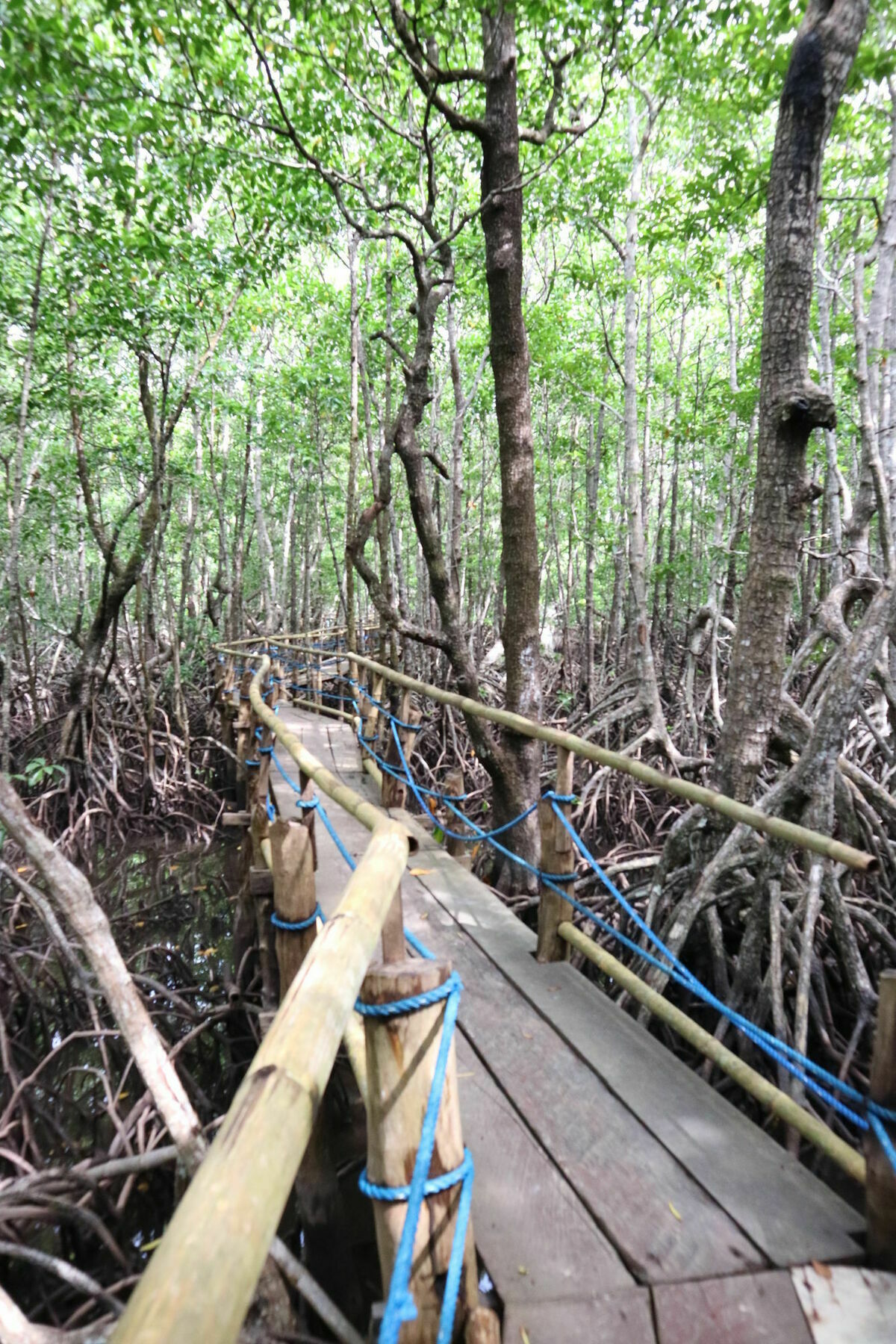 Villa Israel Ecopark El Nido Exterior foto