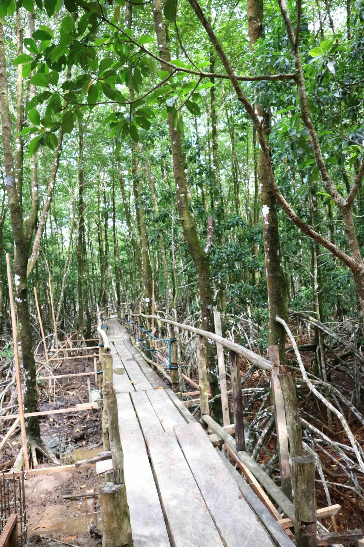 Villa Israel Ecopark El Nido Exterior foto